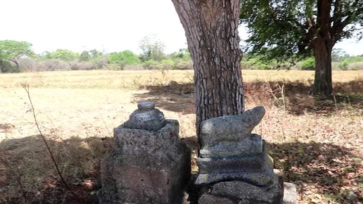 BC 1300 kovil mannar 1 மன்னார் பகுதியில் கி.பி13 ஆம் நூற்றாண்டு சைவ ஆலயம்