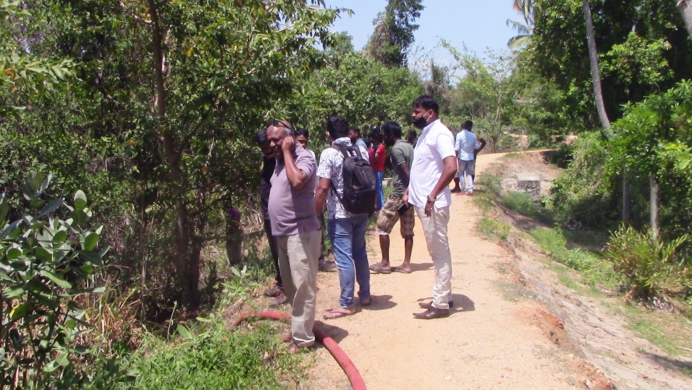 IMG 4151 மட்டு - பறவைகள் சரணாலயம் பகுதியில் தீ விபத்து