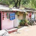 ஏற்கப்படாத ஏதிலி ஏக்கம் – பேராசிரியர். முனைவர் ஆ. குழந்தை
