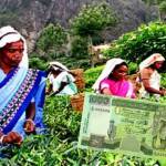 கொடுப்பனவில் இழுபறி -துரைசாமி நடராஜா
