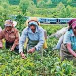 மாற்றாந்தாய் மனப்பான்மை – துரைசாமி நடராஜா