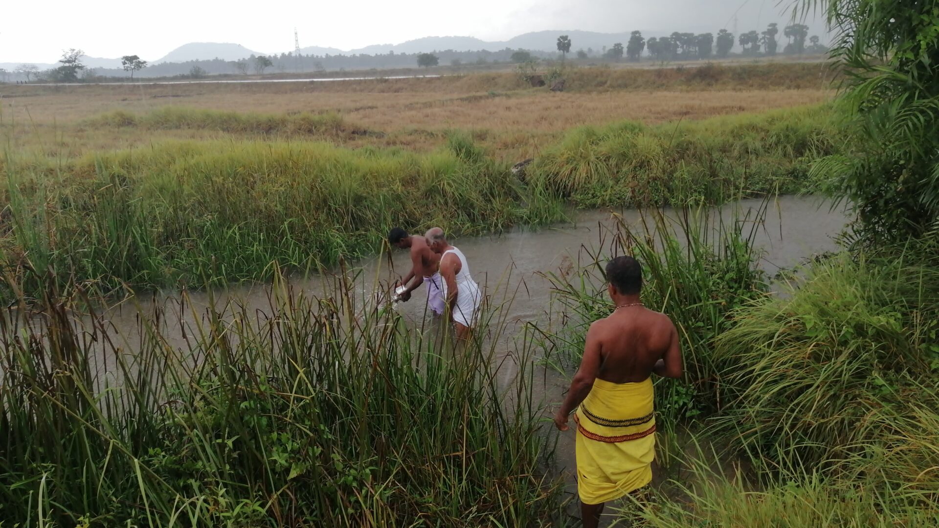 சர்வதேச நீர் தினத்தை முன்னிட்டு விவசாயிகளின் விசைட பூசை பொங்கல் நிகழ்வு 2 https://www.ilakku.org/wp-content/uploads/2021/08/cropped-Google_Logo.png IMG 20240322 WA0023 சர்வதேச நீர் தினத்தை முன்னிட்டு விவசாயிகளின் விசைட பூசை பொங்கல் நிகழ்வு