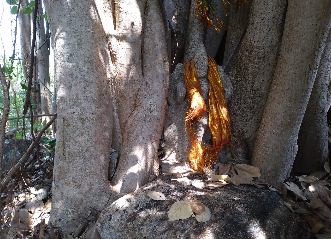 மக்களின் வாழ்வாதாரத்தை அழிக்கும் நிலையை கண்டு கொள்ளாதவர்கள் - திருமலையான் 3 https://www.ilakku.org/wp-content/uploads/2021/08/cropped-Google_Logo.png 7 3 மக்களின் வாழ்வாதாரத்தை அழிக்கும் நிலையை கண்டு கொள்ளாதவர்கள் - திருமலையான்