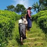 வாக்குகளை குறிவைக்கும் காய் நகர்த்தல்கள் -துரைசாமி நடராஜா