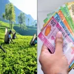 காழ்ப்புணர்ச்சி வேண்டாம்-துரைசாமி நடராஜா