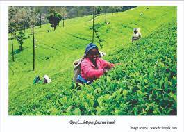 கேள்விக்குறியாகும் பிரதிநிதித்துவம்-துரைசாமி நடராஜா
