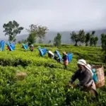 இளைஞர்களுக்கு வழிவிடுவோம் – துரைசாமி நடராஜா