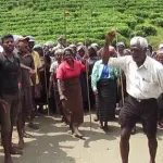 பிரதிநிதித்துவ அரசியல் கலாசாரம்-துரைசாமி நடராஜா