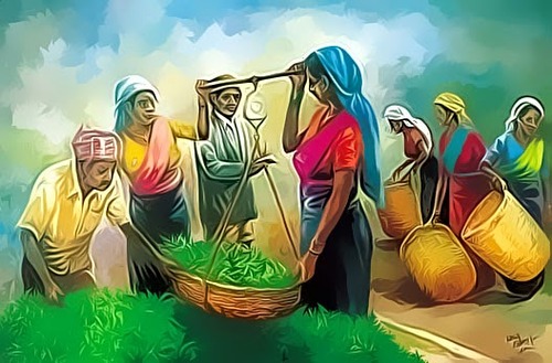 பெருந்தோட்ட மக்களும் தேர்தல் வாக்குறுதிகளும் – மருதன் ராம்