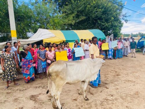 மயிலத்தமடு மேச்சல் நில விவகாரம்: தொடரப்பட்ட வழக்கில் இருந்து 30 பேர் விடுதலை