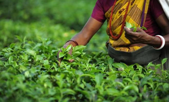 அந்தரத்தில் மலையக அதிகார சபை – மருதன் ராம்