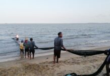 திருகோணமலை: மீனவர்களின் வாழ்வாதாரத்தில் அரசு கவனம் எடுக்க வேண்டும்!