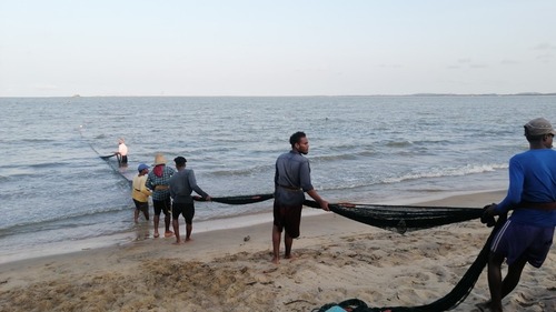 திருகோணமலை: மீனவர்களின் வாழ்வாதாரத்தில் அரசு கவனம் எடுக்க வேண்டும்!