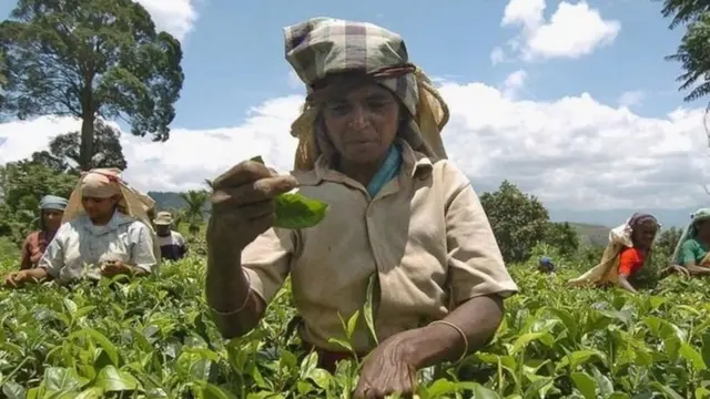 மலையகத்தில் தமிழ் வித்தியாலய காணி அபகரிப்பு அரசியல்வாதிக்கு எதிராக போராட்டம்…