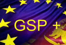 ஜி.எஸ்.பி.பிளஸ் வரிச்சலுகை புதிய நிபந்தனைகளுடன் இலங்கைக்கு  கிடைக்கும்  : விதுரன்