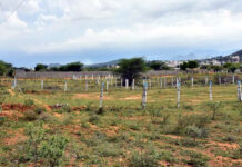 வனவளத் திணைக்களத்தால் வயல் காணிகள் அதிகரிப்பு!