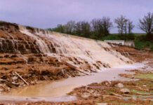 Ditwah புயல்: உயிரிழந்தோர் எண்ணிக்கை 390 ஆக அதிகரிப்பு