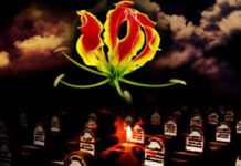 அச்சமின்றி மாவீரர்களை நினைவுகூரமுடியும் : NPP அமைப்பாளர் தெரிவிப்பு