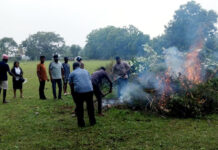 வடக்கு கிழக்கில் மாவீரர் துயிலும் இல்ல துப்பரவு பணிகள் ஆரம்பம்