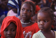 ’புல், தீவனம்தான் சாப்பாடு’ – சூடானில் ஏற்பட்டுள்ள பஞ்சம்!