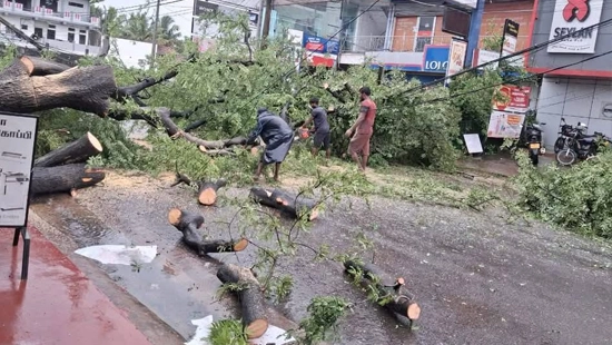 இலங்கையில் கன மழை: இதுவரை 56 பேர் உயிரிழப்பு !