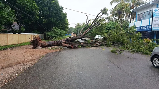 இலங்கையில் கன மழை: இதுவரை 56 பேர் உயிரிழப்பு !