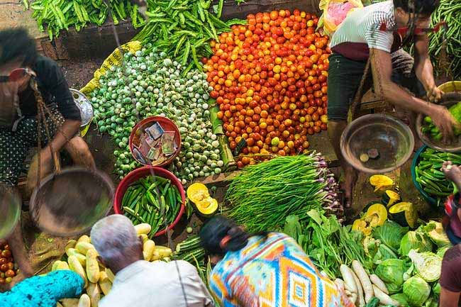 இலங்கையில் நிலவும் மோசமான வானிலை: மரக்கறிகளின் விலை அதிகரிப்பு
