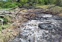 சுற்றாடல் சட்டங்களை மீறுவோருக்கு எதிராக கடும் நடவடிக்கை