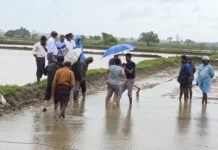 டித்வா புயல் : கிழக்கில் 33,640 விவசாயிகள் பாதிப்பு – மாகாண விவசாய பணிப்பாளர் எம்.எஸ்.றினூஸ்