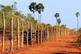 யாழில் கடற்படை வசமுள்ள காணிகள் விடுவிக்கப்படும்!