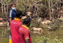 சீரற்ற கால நிலை: வடக்கு மாகாணத்தில் மிக அதிக பாதிப்பினை எதிர்கொண்ட மன்னார் மாவட்டம்