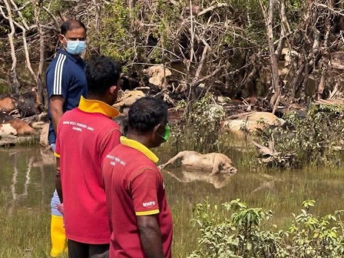 சீரற்ற கால நிலை: வடக்கு மாகாணத்தில் மிக அதிக பாதிப்பினை எதிர்கொண்ட மன்னார் மாவட்டம்