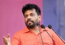 மத்திய மலைநாட்டைப் பாதுகாத்து மீண்டும் கட்டியெழுப்ப புதிய கட்டமைப்பு நிறுவப்படும் – ஜனாதிபதி