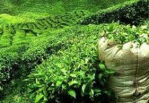 புது வடிவத்துடன் காணி உரிமை போராட்டம் : மருதன் ராம்