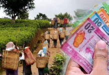 பெருந்தோட்டத் தொழிலாளர்களின் சம்பள அதிகரிப்பு – தோட்ட கம்பனிகளுடன் இன்று புரிந்துணர்வு ஒப்பந்தம்