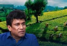 பெருந்தோட்ட சமூகத்தை, அரசாங்கம் ஒதுக்கி வைத்துள்ளதாக ஐ.நா. பிரதிநிதியிடம் மனோ முறையீடு