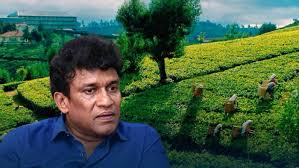 பெருந்தோட்ட சமூகத்தை, அரசாங்கம் ஒதுக்கி வைத்துள்ளதாக ஐ.நா. பிரதிநிதியிடம் மனோ முறையீடு