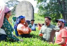 ஏகபோக அரசியலுக்கு முற்றுப்புள்ளி: மலையகத்தில் துளிர்விடும் “தேசிய மக்கள் சக்தி” : மருதன் ராம்