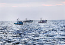 தமிழக முதலமைச்சர் மீனவர்களின் அத்து மீறலைக் கட்டுப்படுத்தி இருக்க முடியும் – என்.எம்.ஆலம்