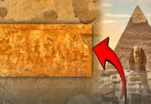 2000ம் ஆண்டுகளுக்கு முன் எகிப்தில் கால் பதித்த தமிழன் ‘சிகை கொற்றன்’!