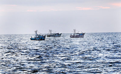 தமிழக முதலமைச்சர் மீனவர்களின் அத்து மீறலைக் கட்டுப்படுத்தி இருக்க முடியும் – என்.எம்.ஆலம்