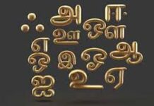 இன்று அனைத்துலக தாய் மொழிதினம்! : பா.அரியநேத்திரன்