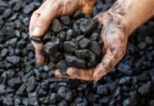 இவ்வளவு தரம் குறைந்த நிலக்கரி ஒருபோதும் கொண்டுவரப்படவில்லை – இலங்கை மின்சார சபை பொறியியலாளர் சங்கம்