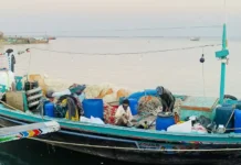 எல்லை தாண்டிய மேலும் 25 இந்திய மீனவர்கள் கைது