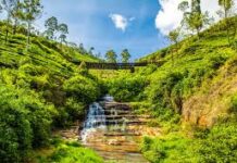 மலையகத்தின் பெயரிடல் அரசியல்: வரலாற்றுப் பின்னணியில் சமூகத் தாக்கம் : மருதன் ராம்