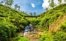 மலையகத்தின் பெயரிடல் அரசியல்: வரலாற்றுப் பின்னணியில் சமூகத் தாக்கம் : மருதன் ராம்