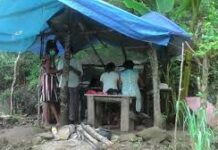 பெருந்தோட்டப் பகுதிகளில் சிறுவர் பாதுகாப்பிற்காக விசேட செயற்திட்டங்கள்!