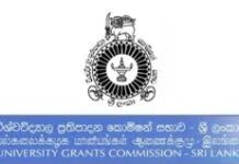 பல்கலைக்கழக விரிவுரைகளை இணையவழியில் நடத்துமாறு அறிவுறுத்தல்