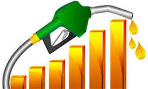 எரிபொருள் நுகர்வை குறையுங்கள்: பொதுமக்களிடம் கோரிக்கை