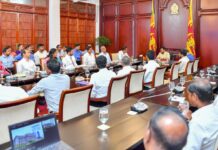 மின்சார சபை ஊழியர்களின் அனைத்து பிரச்சினைகளுக்கும் விரைவில் தீர்வு: ஜனாதிபதி தெரிவிப்பு